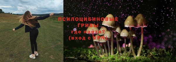 тгк Абинск