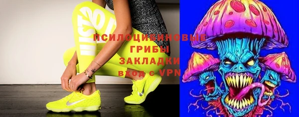 тгк Абинск
